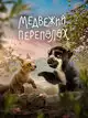 Медвежий переполох